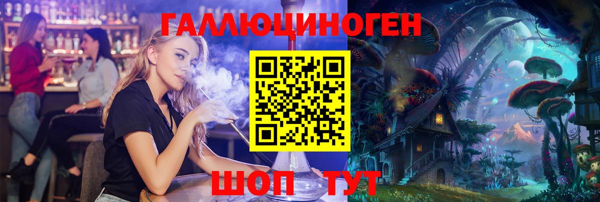 где можно купить наркотик  Псилоцибиновые грибы ЛСД  Вход с VPN  Абакан 