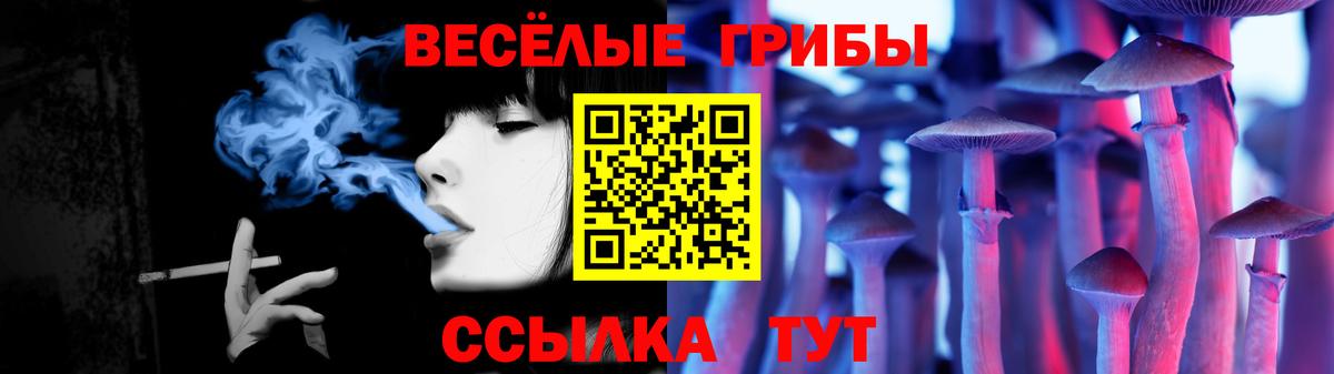 Псилоцибиновые грибы ЛСД Абакан